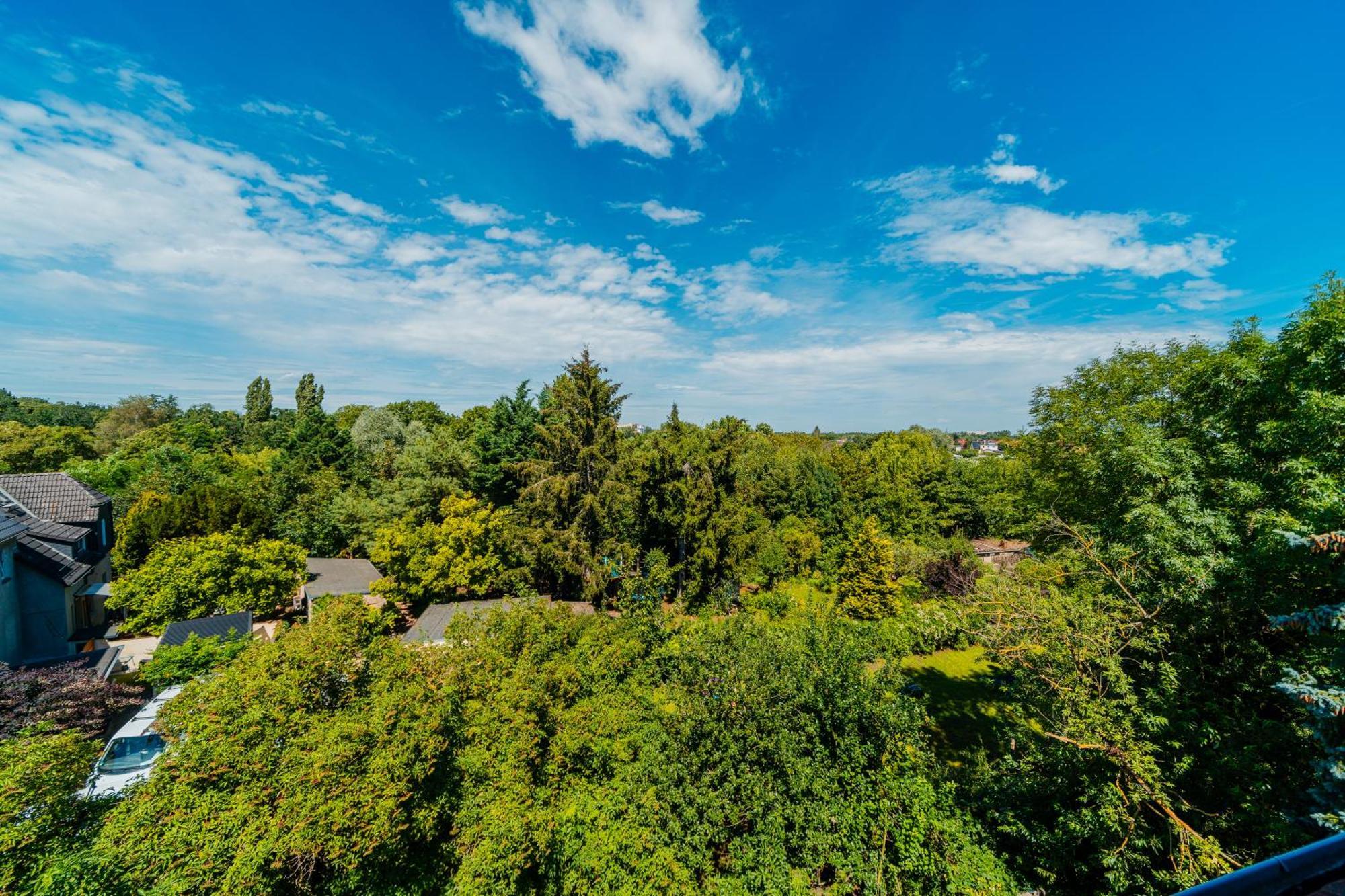 Zentrale Wohlfuehlwohnung - Ideal Fuer Ihren Urlaub Oder Die Geschaeftsreise Magdeburg Bagian luar foto
