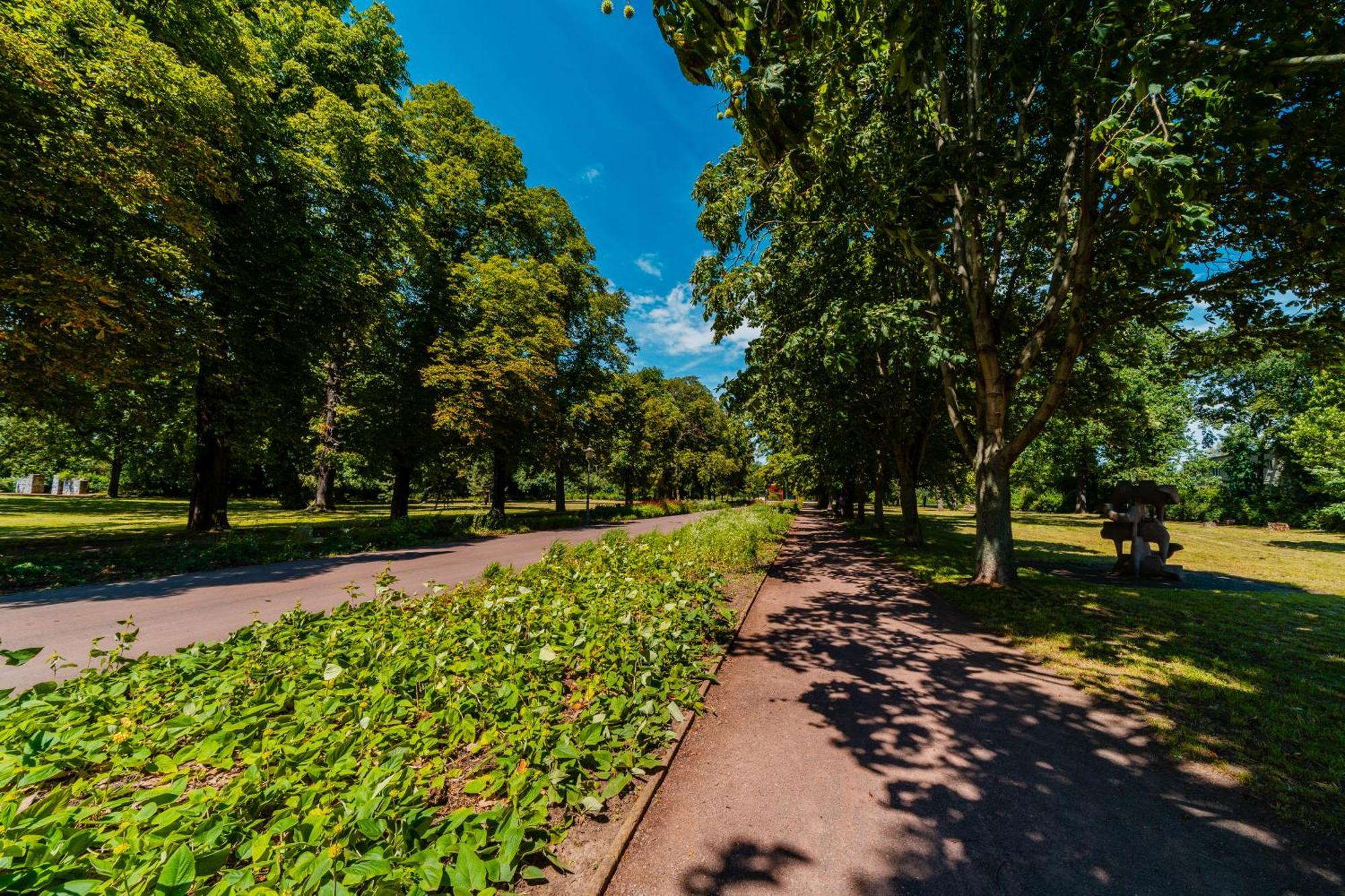 Zentrale Wohlfuehlwohnung - Ideal Fuer Ihren Urlaub Oder Die Geschaeftsreise Magdeburg Bagian luar foto